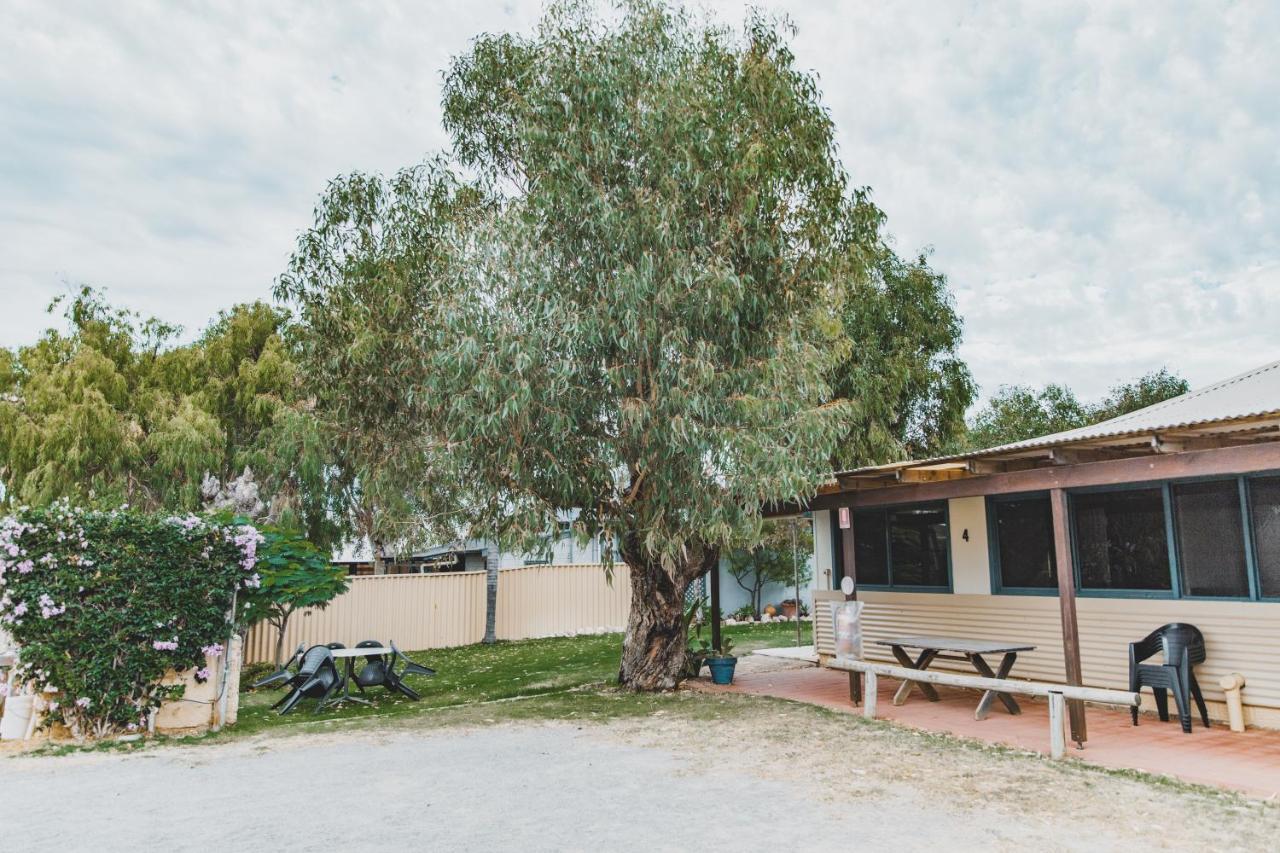Dongara Hotel Motel Bagian luar foto
